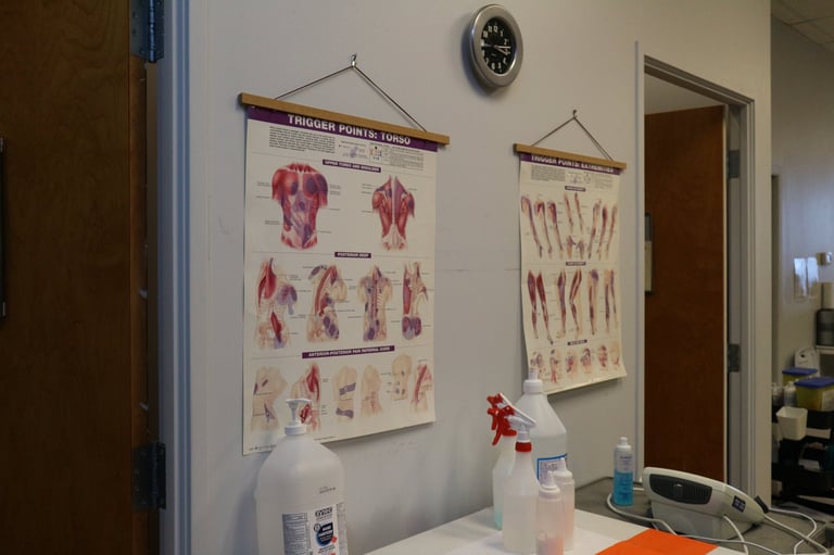 Medical or anatomical posters showing muscle and skeletal diagrams hang on a clinic or office wall above a desk with supplies
