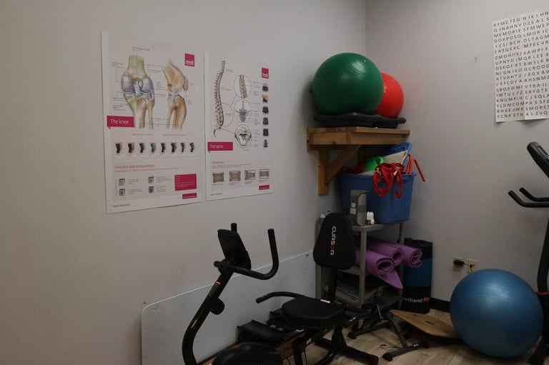 Fitness equipment and anatomical charts displayed in a gym or training space, including exercise bike, medicine ball, and anatomical posters on wall.